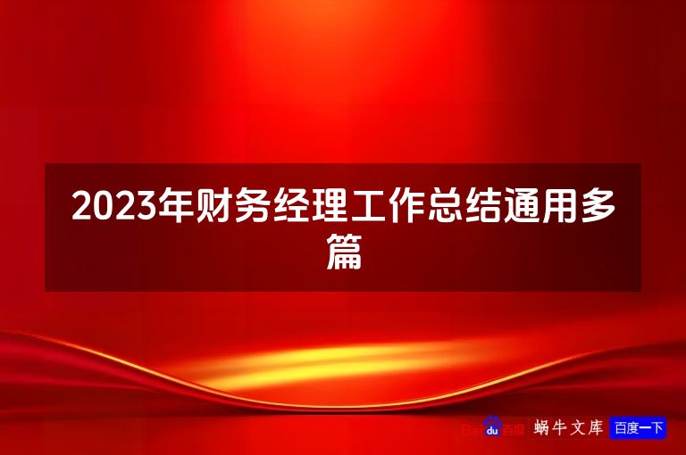 2023年财务经理工作总结通用多篇