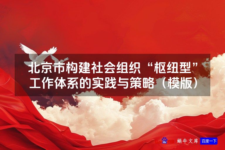 北京市构建社会组织“枢纽型”工作体系的实践与策略（模版）