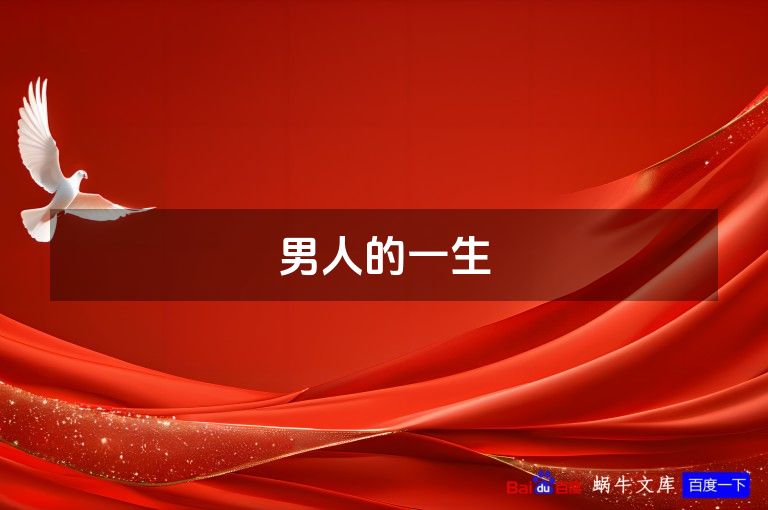 男人的一生