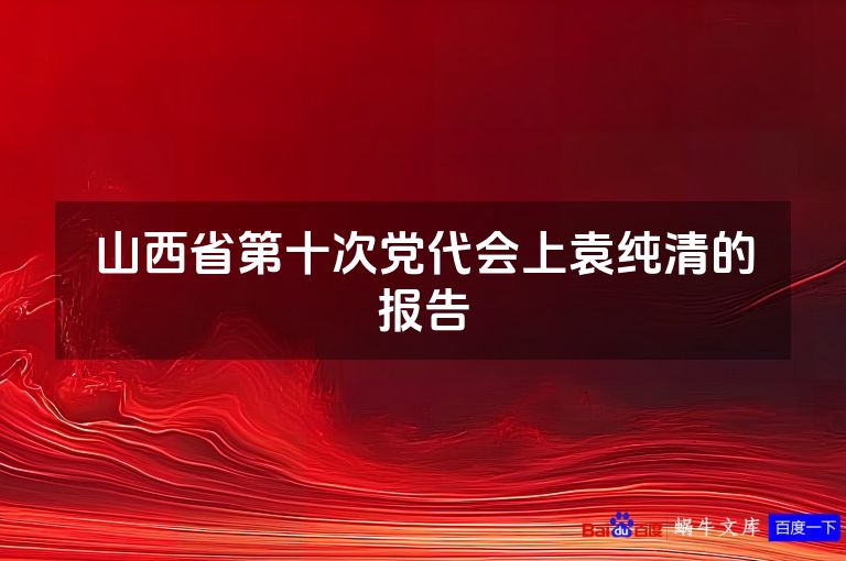 山西省第十次党代会上袁纯清的报告