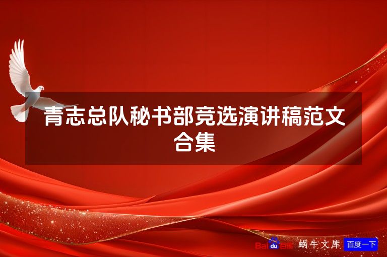 青志总队秘书部竞选演讲稿范文合集