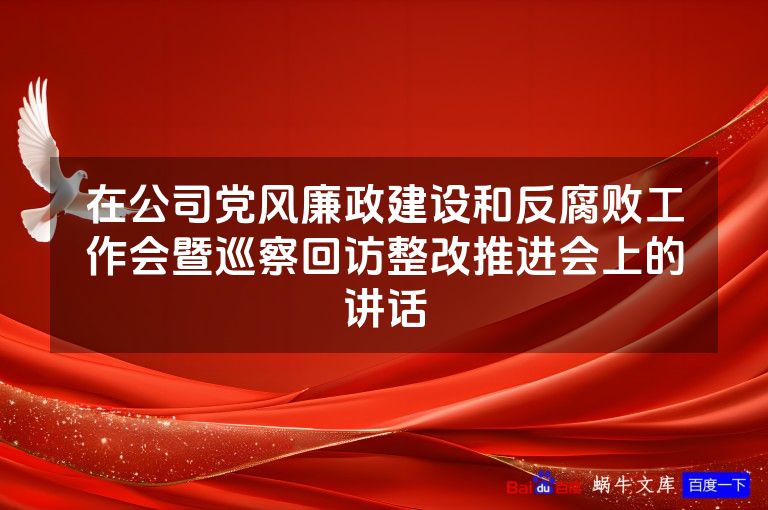 在公司党风廉政建设和反腐败工作会暨巡察回访整改推进会上的讲话