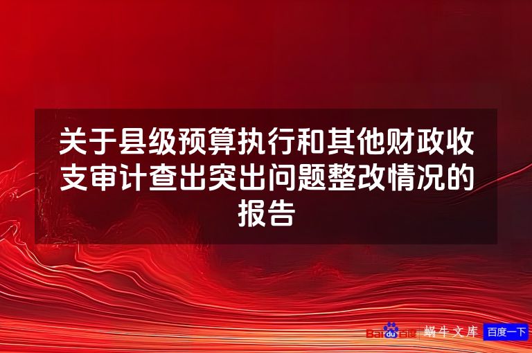 关于县级预算执行和其他财政收支审计查出突出问题整改情况的报告