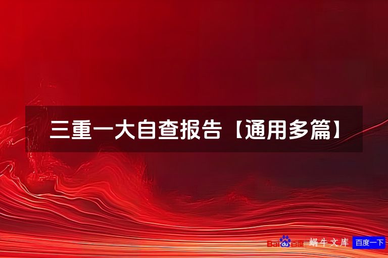 三重一大自查报告【通用多篇】