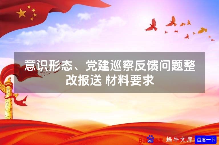 意识形态、党建巡察反馈问题整改报送 材料要求