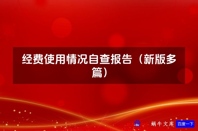 经费使用情况自查报告（新版多篇）