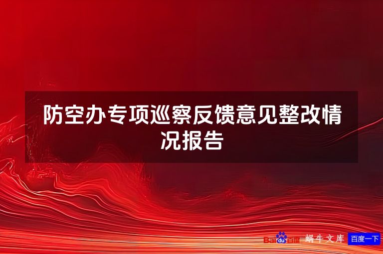 防空办专项巡察反馈意见整改情况报告