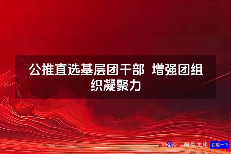 公推直选基层团干部 增强团组织凝聚力