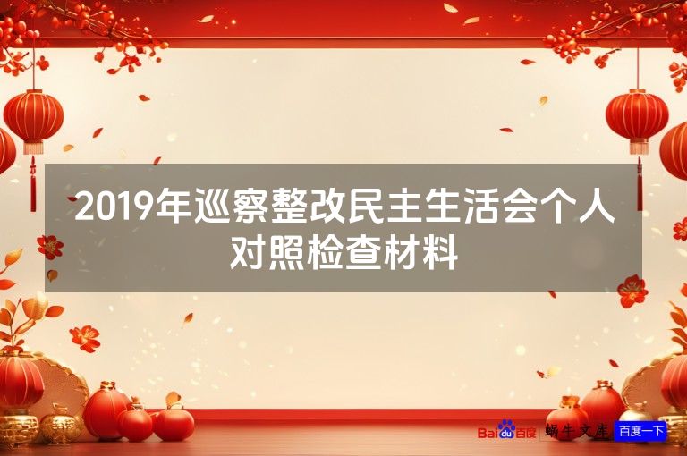 2019年巡察整改民主生活会个人对照检查材料