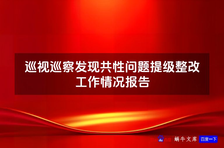 巡视巡察发现共性问题提级整改工作情况报告