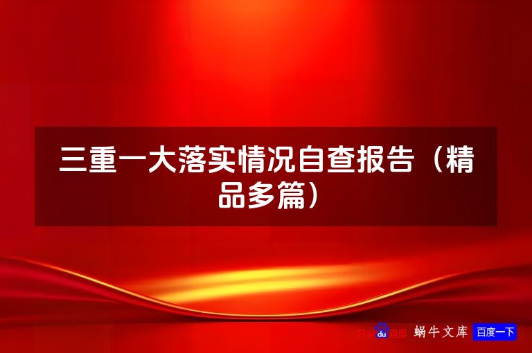 三重一大落实情况自查报告（精品多篇）