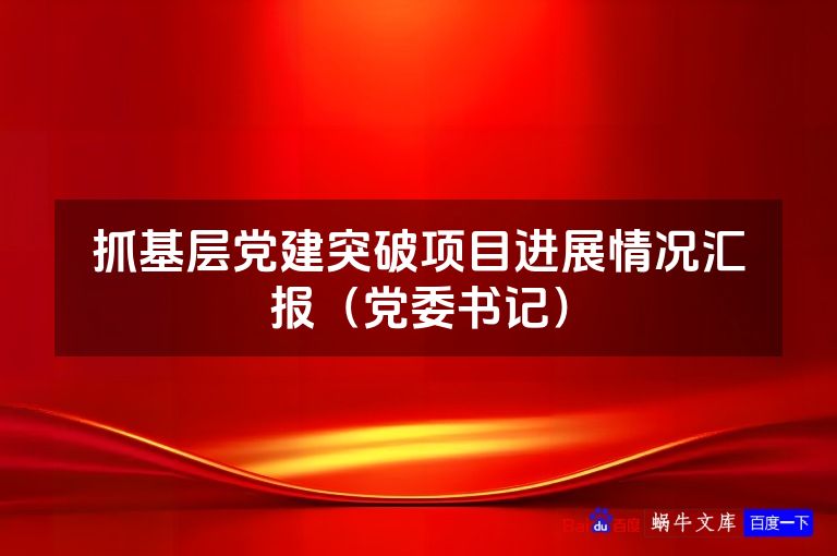 抓基层党建突破项目进展情况汇报（党委书记）