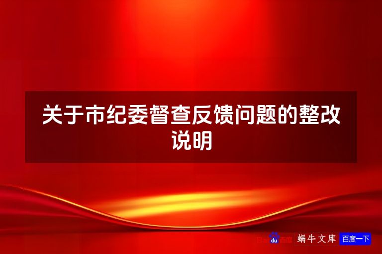 关于市纪委督查反馈问题的整改说明