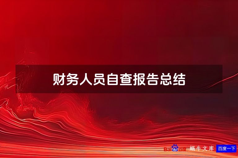 财务人员自查报告总结