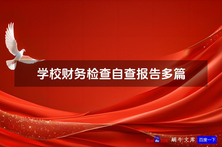 学校财务检查自查报告多篇