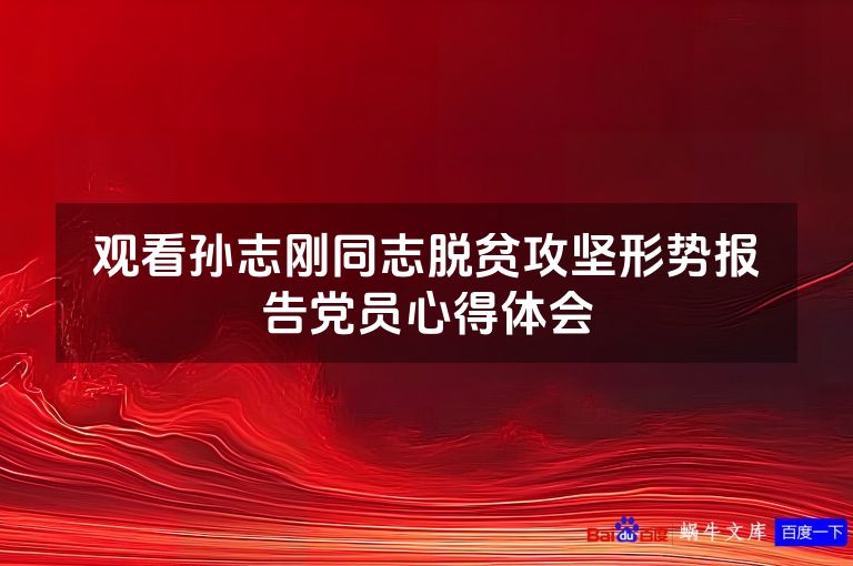 观看孙志刚同志脱贫攻坚形势报告党员心得体会