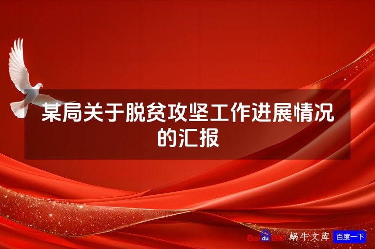 某局关于脱贫攻坚工作进展情况的汇报