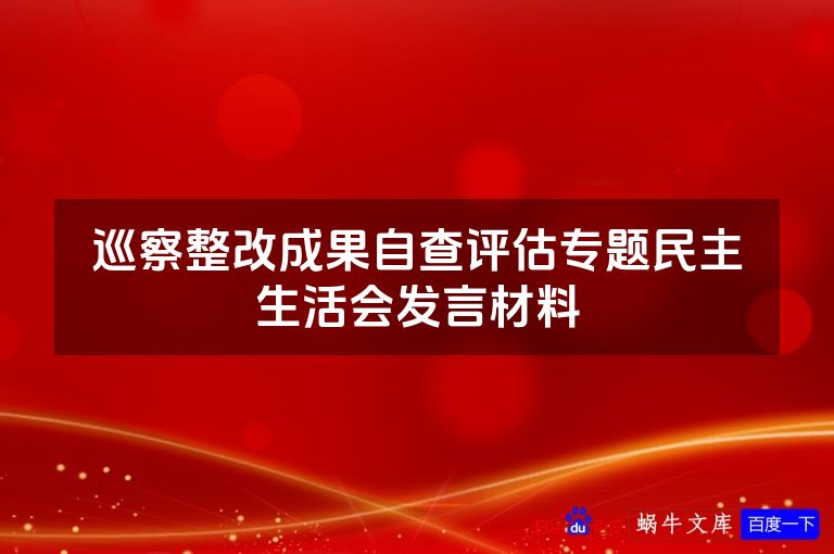 巡察整改成果自查评估专题民主生活会发言材料