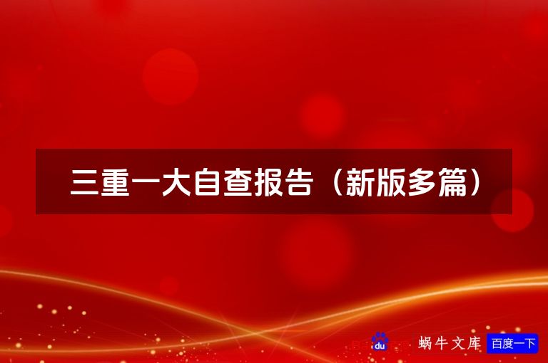 三重一大自查报告（新版多篇）