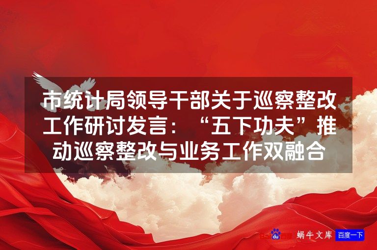 市统计局领导干部关于巡察整改工作研讨发言：“五下功夫”推动巡察整改与业务工作双融合