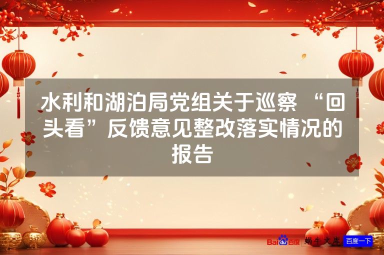 水利和湖泊局党组关于巡察 “回头看”反馈意见整改落实情况的报告