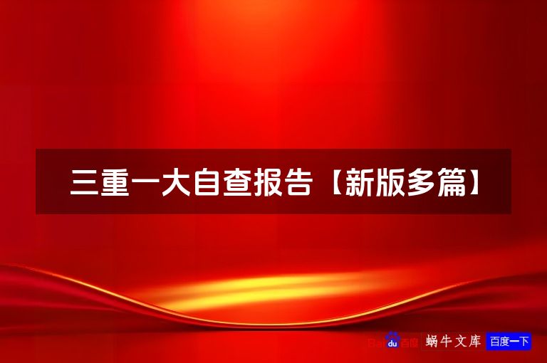 三重一大自查报告【新版多篇】