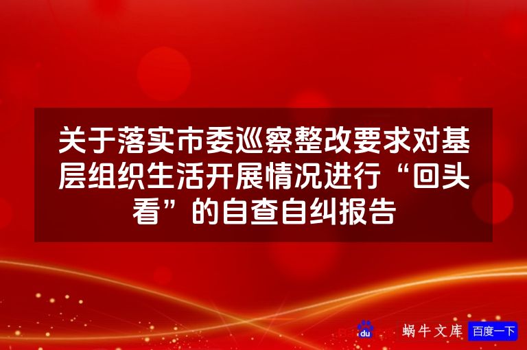 关于落实市委巡察整改要求对基层组织生活开展情况进行“回头看”的自查自纠报告