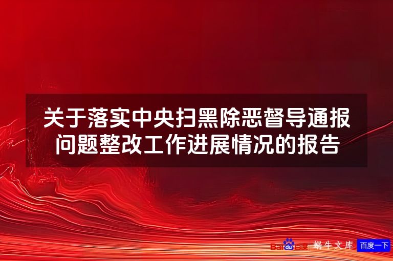 关于落实中央扫黑除恶督导通报问题整改工作进展情况的报告
