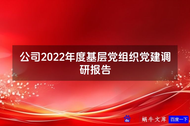 公司2022年度基层党组织党建调研报告