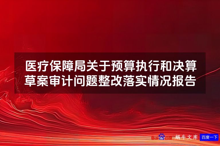 医疗保障局关于预算执行和决算草案审计问题整改落实情况报告