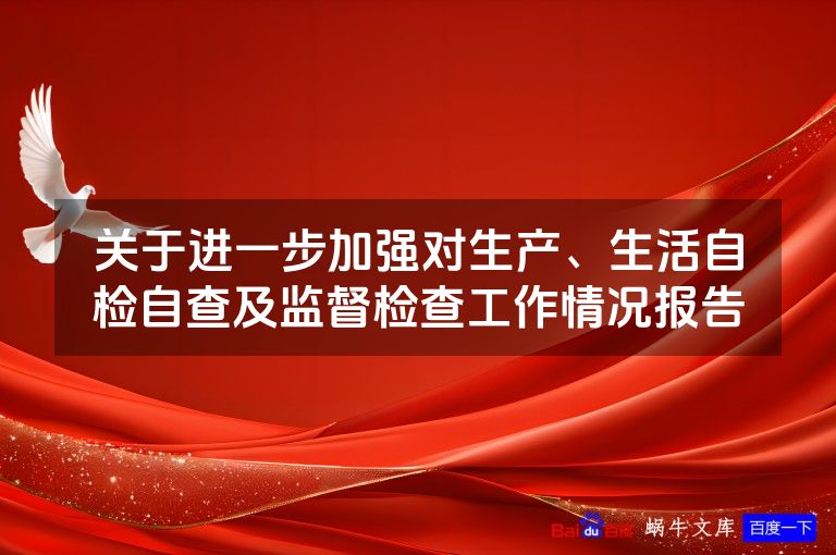 关于进一步加强对生产、生活自检自查及监督检查工作情况报告