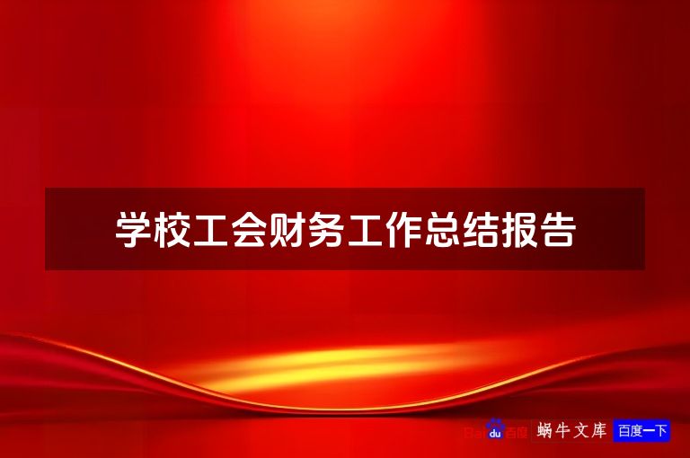 学校工会财务工作总结报告