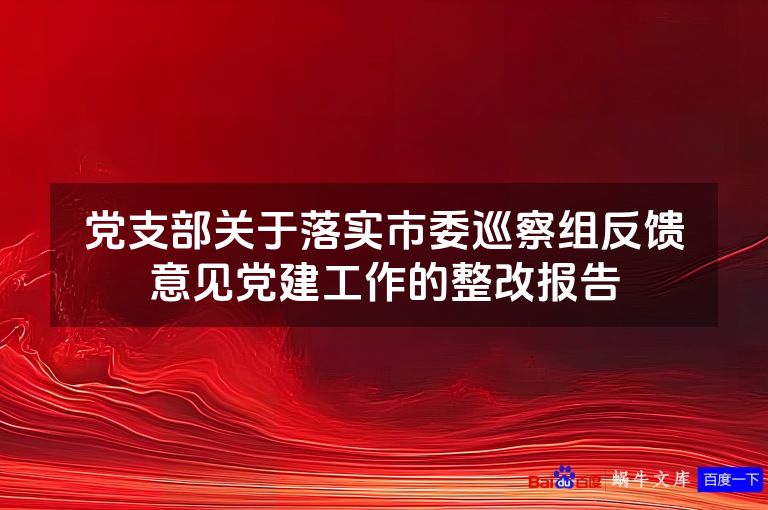 党支部关于落实市委巡察组反馈意见党建工作的整改报告