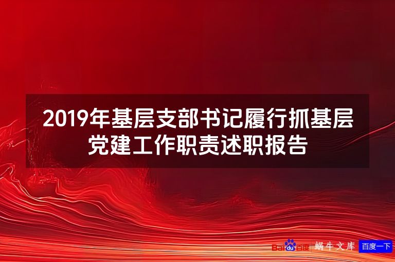 2019年基层支部书记履行抓基层党建工作职责述职报告