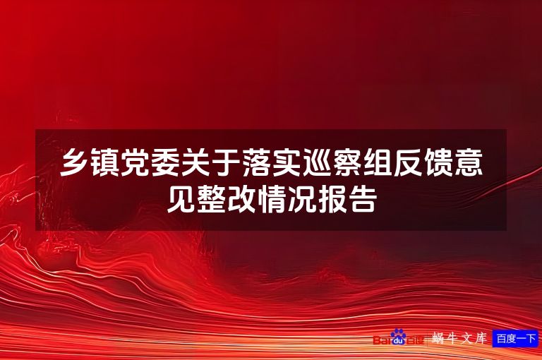 乡镇党委关于落实巡察组反馈意见整改情况报告