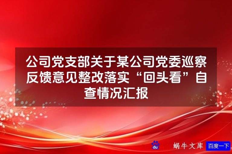 公司党支部关于某公司党委巡察反馈意见整改落实“回头看”自查情况汇报