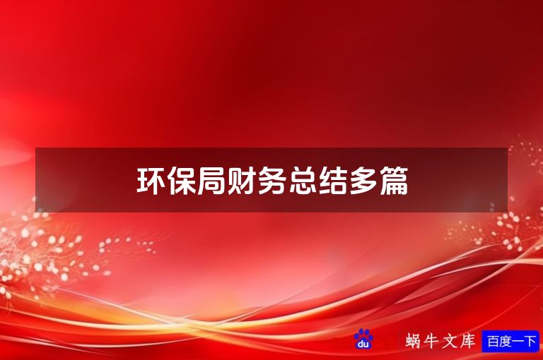 环保局财务总结多篇