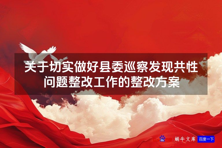 关于切实做好县委巡察发现共性问题整改工作的整改方案