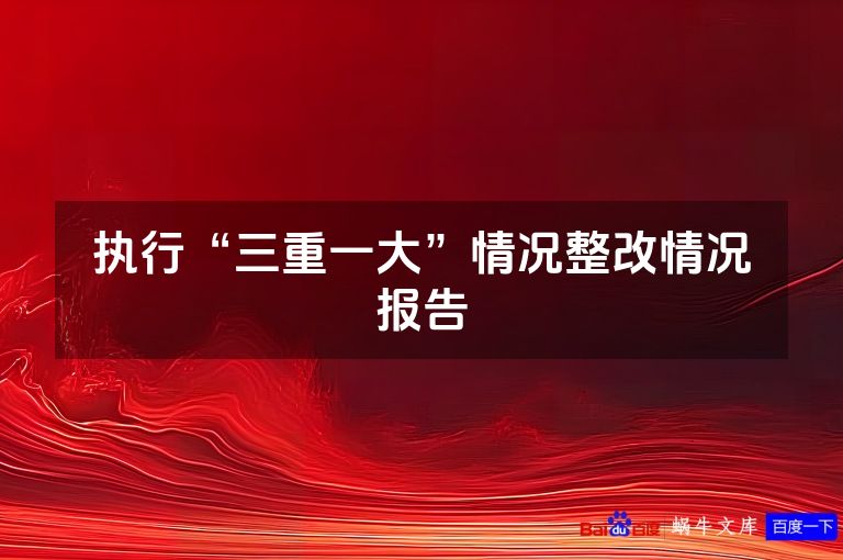 执行“三重一大”情况整改情况报告