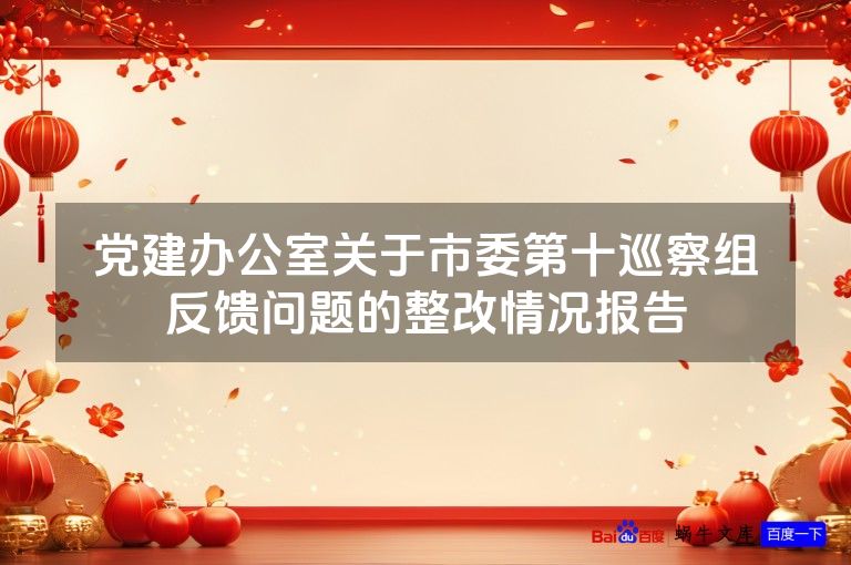 党建办公室关于市委第十巡察组反馈问题的整改情况报告