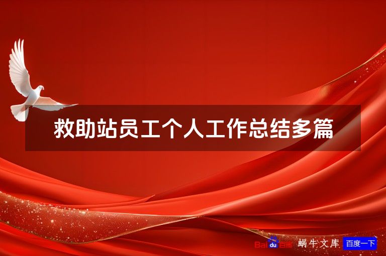 救助站员工个人工作总结多篇
