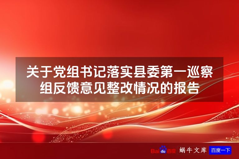 关于党组书记落实县委第一巡察组反馈意见整改情况的报告