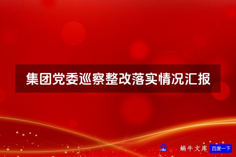 集团党委巡察整改落实情况汇报