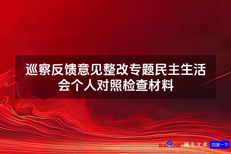 巡察反馈意见整改专题民主生活会个人对照检查材料