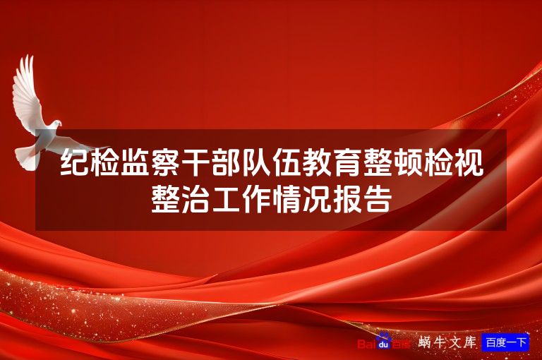 纪检监察干部队伍教育整顿检视整治工作情况报告