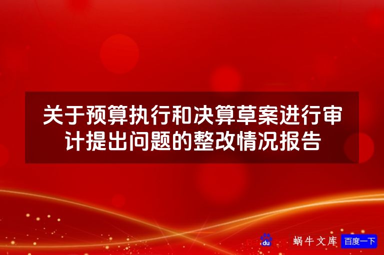 关于预算执行和决算草案进行审计提出问题的整改情况报告