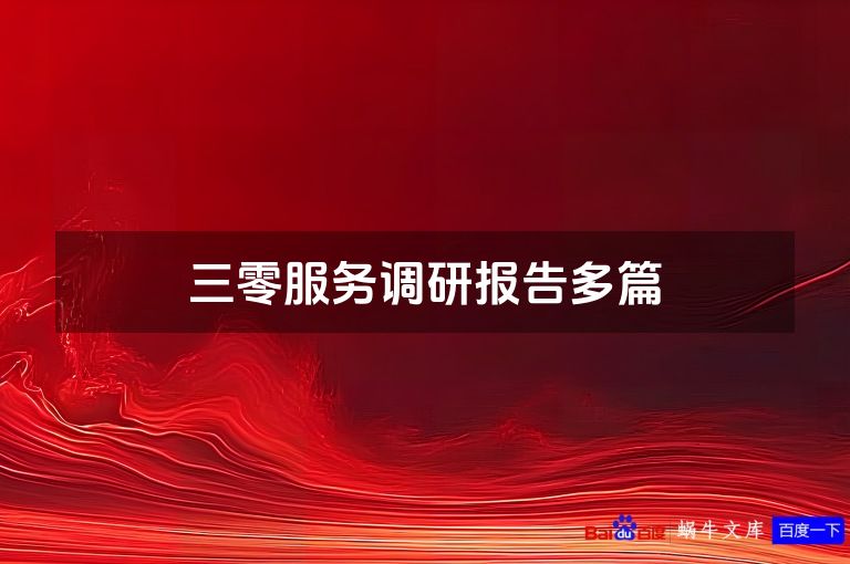 三零服务调研报告多篇