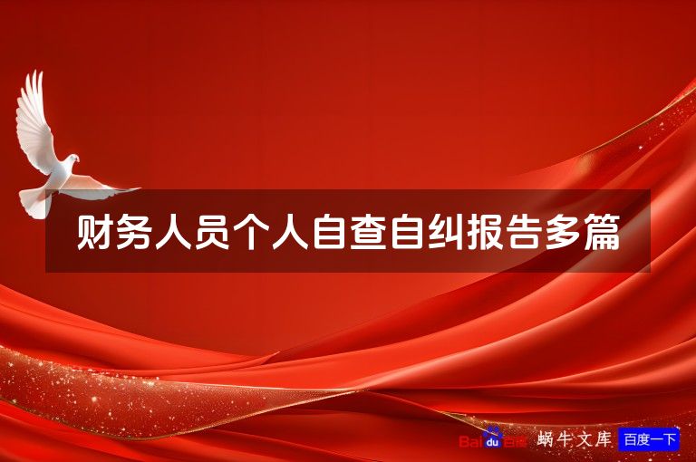 财务人员个人自查自纠报告多篇