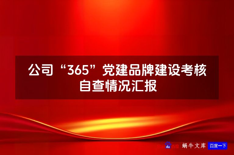 公司“365”党建品牌建设考核自查情况汇报