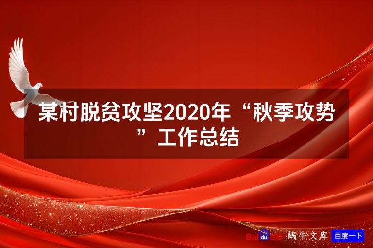 某村脱贫攻坚2020年“秋季攻势”工作总结